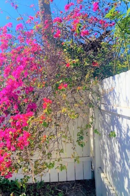 Sparkling 2Bed 1Bath Beach Home - Unit 214 Cocoa Beach Eksteriør billede